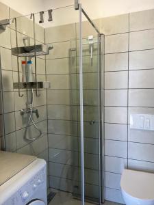 a glass shower in a bathroom with a toilet at Apartment Sole in Poreč +23 photos