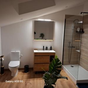 a bathroom with a toilet and a sink and a shower at Suite Canopée & Spa in Albi +15 photos