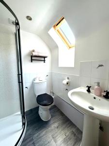 a bathroom with a toilet and a sink and a shower at Millers Cottage in Llandysul +15 photos