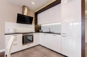 Kuchnia lub aneks kuchenny w obiekcie Old Town Luxury Apartment