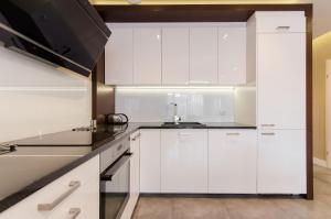 Kuchnia lub aneks kuchenny w obiekcie Old Town Luxury Apartment