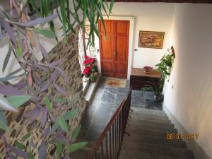 una scala che conduce a una porta in legno con piante di Casa Amata a Lecco
