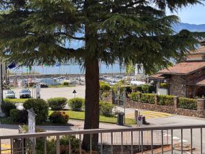 a tree in front of a parking lot with a marina at Albergo Lario in Gera Lario