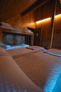 two beds in a room with wooden walls at Laugarfell Accommodation & Hot Springs in Laugarfell