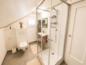 a bathroom with a shower and a toilet at Haus Erna Weitra in Weitra +13 photos