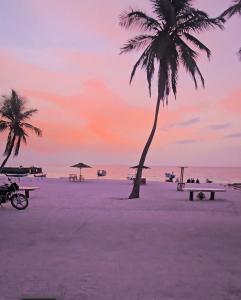 a beach with two palm trees and a sunset at Blu Laguna Beach Homestay, Agatti Island, Lakshadweep - Only For Indian Nationals with valid entry permit in Agatti