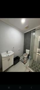 a bathroom with a shower and a sink and a toilet at Nightingale Guesthouse Randfontein in Randfontein +3 photos
