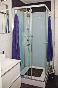 a shower with a glass door in a bathroom at Henning 2 in Kirchdorf +27 photos