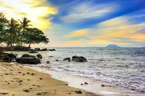 a beach with palm trees and the ocean at Ocean Breeze Carita in Carita