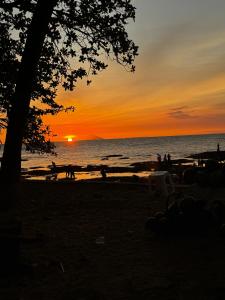 a sunset on the beach with a bench and a tree at Ocean Breeze Carita in Carita