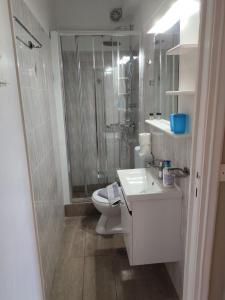 a bathroom with a shower and a toilet and a sink at Maritsas Apartments in Roda