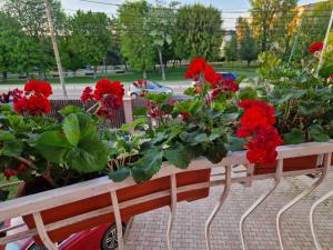 a wooden cart filled with red flowers and plants at Apartament Maia in Turda