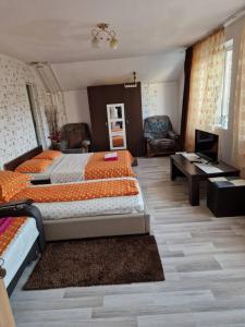 a bedroom with two beds and a desk and a couch at Apartament Maia in Turda
