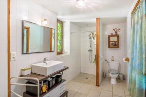 a bathroom with a sink and a toilet and a mirror at Gite Périgourdin - 2 Chambres in Saint-Geniès +16 photos