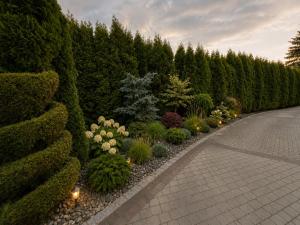 a garden with a row of bushes and flowers at Adria in Bieruń Nowy