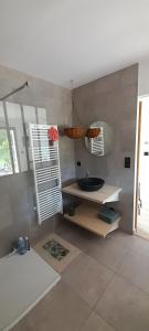 a bathroom with a sink and a mirror at Maison GINKGO in Hourtin