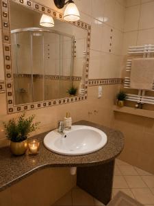 a bathroom with a sink and a mirror at Adria in Bieruń Nowy +14 photos