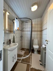 a bathroom with a sink and a toilet at Cozy Cabin Iceland in Reynivellir
