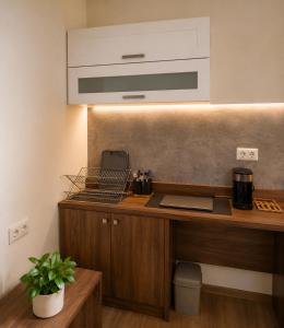 a kitchen with a counter with a sink and a microwave at Alpine Studio near Bad Ischl in Bad Ischl