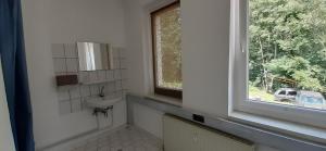a bathroom with a sink and a window at Ferienwohnung in Georgenthal in Georgenthal