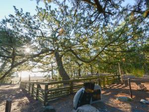 a wooden fence and a tree with the sun behind it at Hotel Hagoromo in Shizuoka