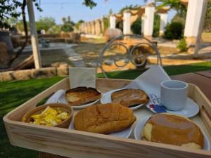 a tray of food with sandwiches and other foods at Tenuta del salento in Galatina +71 photos