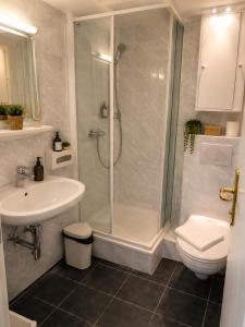 a bathroom with a shower and a toilet and a sink at Alpine Studio near Bad Ischl#2 in Haiden