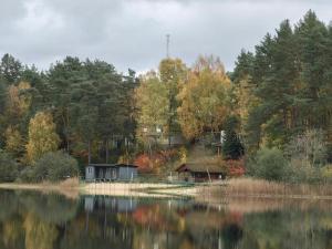 a cabin on the shore of a lake at Domki Dębrzyno in Juszki