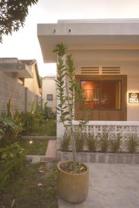 a tree in a pot in front of a building at Mer Home in Tây Ninh