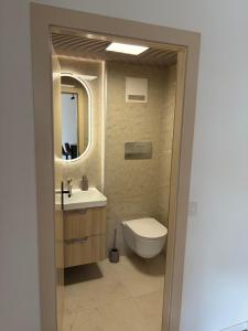 a bathroom with a toilet and a sink and a mirror at City Apartments in Brunnen