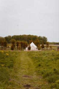 a field with a barn and a dirt road at Mardi talu Glamping in Paekna +6 photos