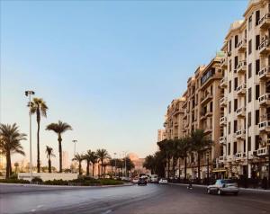 a city street with palm trees and buildings at tourist hotel cairo downtown in Cairo