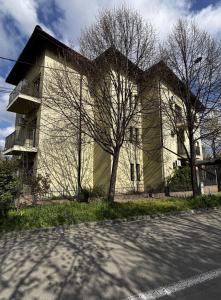 a white building with a tree in front of it at Studio M in Timişoara