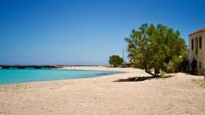 a tree on a sandy beach near the water at Diakofti Loft - Sea Breeze in Kythira +6 photos