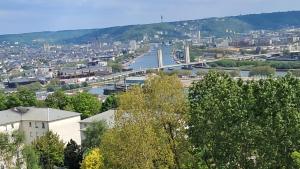 a view of a city with a river and a bridge at Appartement T2 cosy in Canteleu