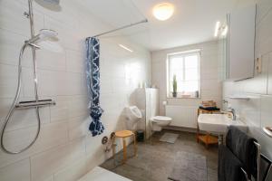 a bathroom with a shower and a toilet and a sink at Ferien- und Pferdehof Egelkraut "Feriendomizil am Meer" in Wangerland +88 photos