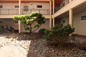 a building with a tree in front of it at Komfortable Ferienwohnung mit Terrasse auf Fehmarn in Fehmarn