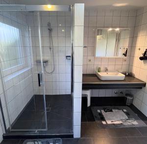 a bathroom with a shower and a sink at Komfortable Ferienwohnung mit Terrasse auf Fehmarn in Fehmarn +18 photos