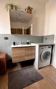 a bathroom with a sink and a washing machine at Casa Stella in Venzone +6 photos