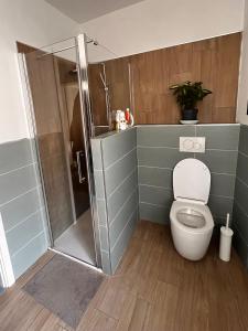 a bathroom with a toilet and a shower at Casa Stella in Venzone