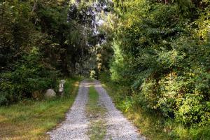 a dirt road in the middle of a forest at 168 Secluded Acres Trails, Winery 5BR in Floyd