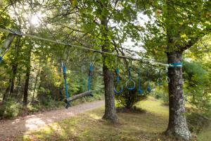 two swings hanging from two trees in a park at 168 Secluded Acres Trails, Winery 5BR in Floyd +88 photos
