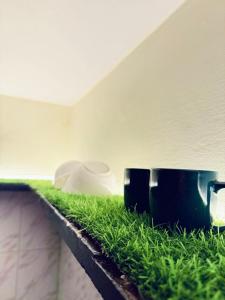 two coffee mugs sitting on a ledge with grass on it at Wee Homes in Bangalore