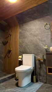 a bathroom with a toilet and a shower at Golden Star Cottage in Kazbegi +37 photos
