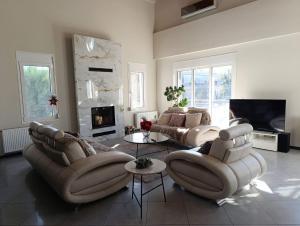a living room with two couches and a fireplace at Raphael Guesthouse in Tríkala