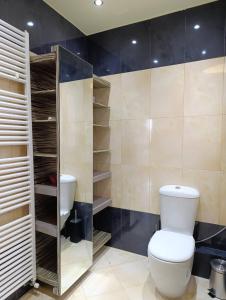 a bathroom with a toilet and a glass closet at Raphael Guesthouse in Tríkala +11 photos
