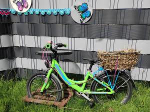 a bike parked in the grass next to a building at Ferienhaus Tinylausitz mit Kamin und Sauna in Steina
