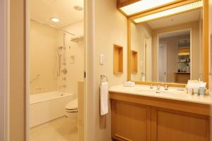 a bathroom with a sink and a toilet and a mirror at Hotel Nikko Kanazawa in Kanazawa