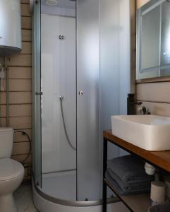 a bathroom with a shower and a sink at Tri houses in Podobovets