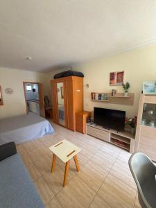a bedroom with a bed and a tv in a room at El Estudio de Johanna in Puerto de la Cruz
